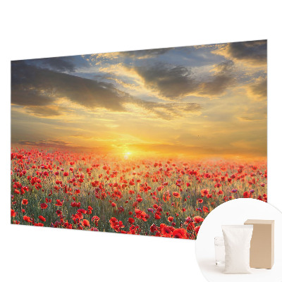 Nowoczesna fototapeta do salonu Makowe pole