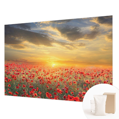 Nowoczesna fototapeta do salonu Makowe pole