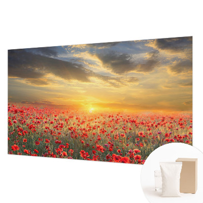 Nowoczesna fototapeta do salonu Makowe pole