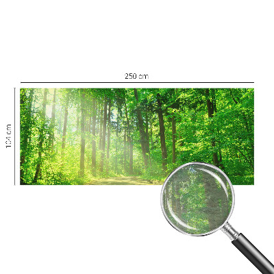Dekoracyjna fototapeta na ścianę z motywem leśnej ścieżki