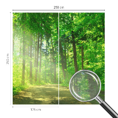 Dekoracyjna fototapeta na ścianę z motywem leśnej ścieżki