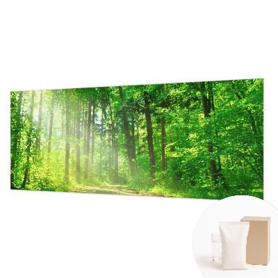 Dekoracyjna fototapeta na ścianę Leśna ścieżka