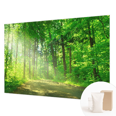 Dekoracyjna fototapeta na ścianę Leśna ścieżka