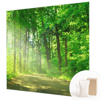 Dekoracyjna fototapeta na ścianę Leśna ścieżka