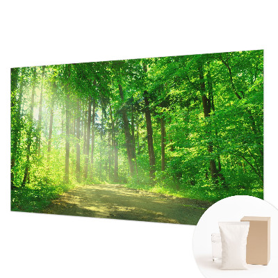 Dekoracyjna fototapeta na ścianę Leśna ścieżka