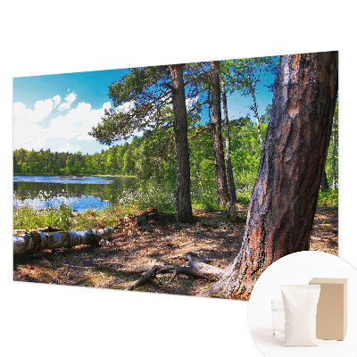 Tapeta fotograficzna Leśny krajobraz