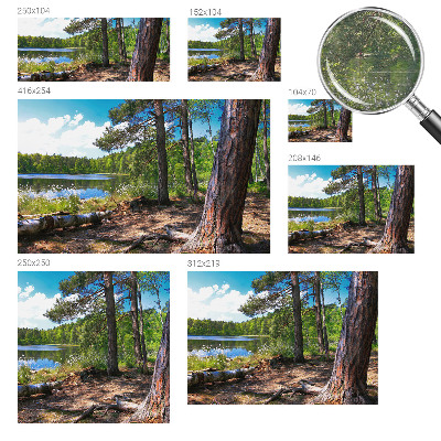 Tapeta fotograficzna Leśny krajobraz