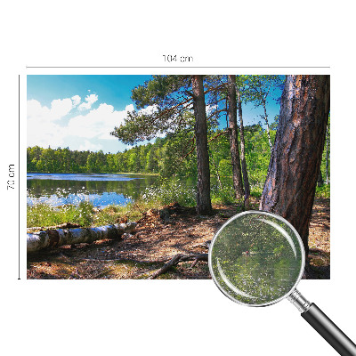 Tapeta fotograficzna z motywem leśnego krajobrazu