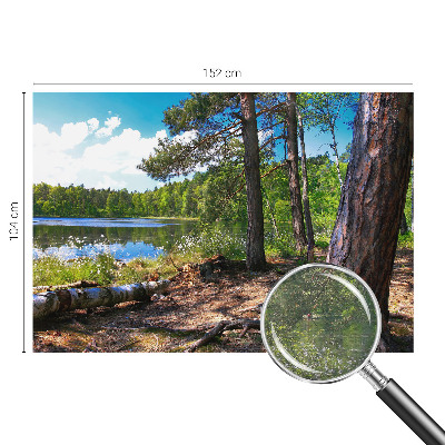 Tapeta fotograficzna z motywem leśnego krajobrazu
