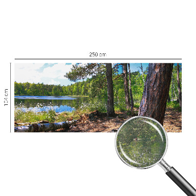 Tapeta fotograficzna z motywem leśnego krajobrazu