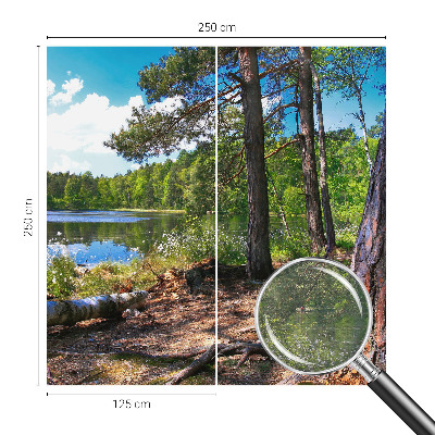 Tapeta fotograficzna z motywem leśnego krajobrazu