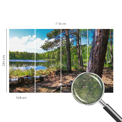 Tapeta fotograficzna z motywem leśnego krajobrazu