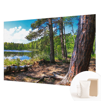 Tapeta fotograficzna Leśny krajobraz