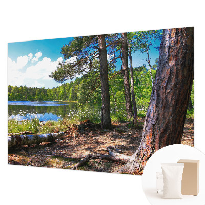 Tapeta fotograficzna Leśny krajobraz