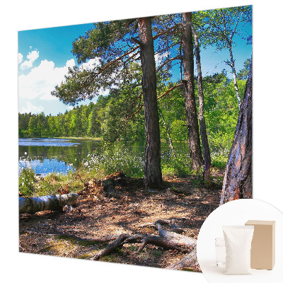 Tapeta fotograficzna Leśny krajobraz