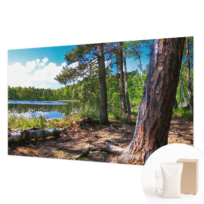 Tapeta fotograficzna Leśny krajobraz