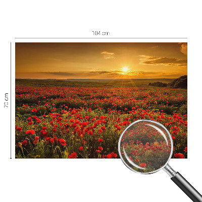 Nowoczesna fototapeta do salonu Makowe pole