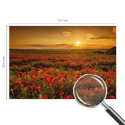 Nowoczesna fototapeta do salonu Makowe pole