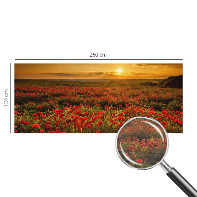 Nowoczesna fototapeta do salonu Makowe pole