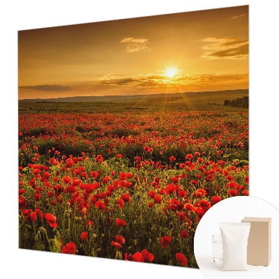 Nowoczesna fototapeta do salonu Makowe pole