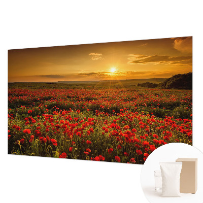 Nowoczesna fototapeta do salonu Makowe pole