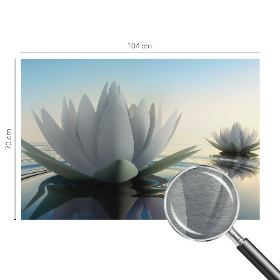 Fototapeta na ścianę Lilie wodne