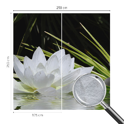 Fototapeta fizelinowa do sypialni z motywem lilii o nazwie 