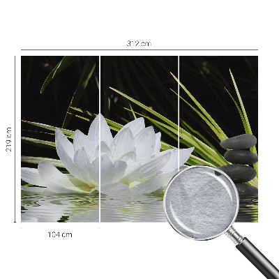 Fototapeta fizelinowa do sypialni z motywem lilii o nazwie 