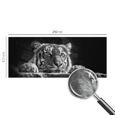 Fototapeta na ścianę z motywem drapieżnego spojrzenia