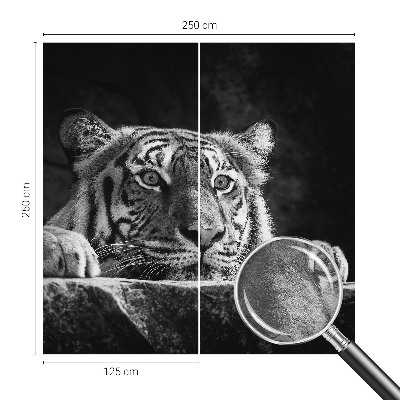 Fototapeta na ścianę z motywem drapieżnego spojrzenia