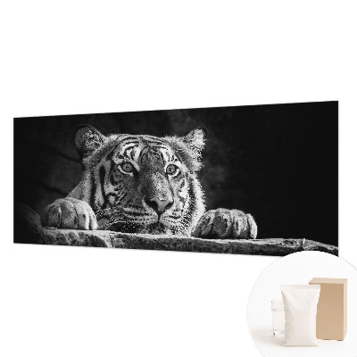 Fototapeta na ścianę Drapieżne spojrzenie