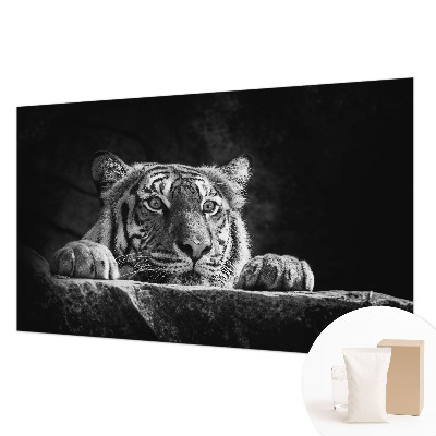 Fototapeta na ścianę Drapieżne spojrzenie