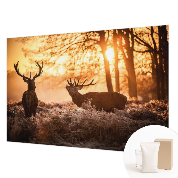 Nowoczesna fototapeta do salonu Jelenie o poranku
