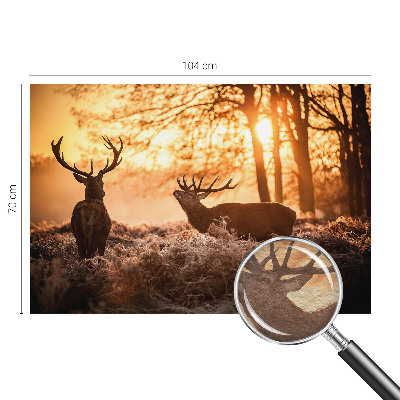 Nowoczesna fototapeta do salonu Jelenie o poranku