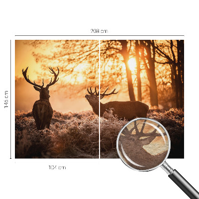 Nowoczesna fototapeta do salonu Jelenie o poranku