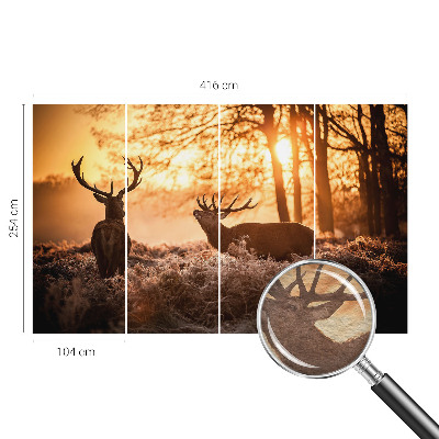 Nowoczesna fototapeta do salonu Jelenie o poranku