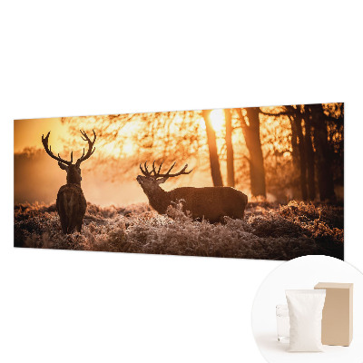 Nowoczesna fototapeta do salonu Jelenie o poranku