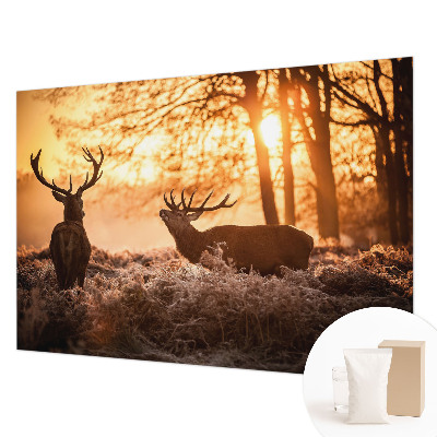 Nowoczesna fototapeta do salonu Jelenie o poranku