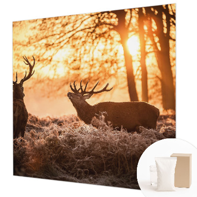 Nowoczesna fototapeta do salonu Jelenie o poranku