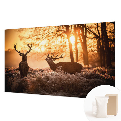 Nowoczesna fototapeta do salonu Jelenie o poranku