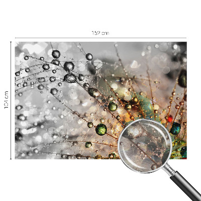 Dekoracyjna fototapeta na ścianę Rosę klejnoty