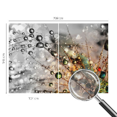 Dekoracyjna fototapeta na ścianę Rosę klejnoty