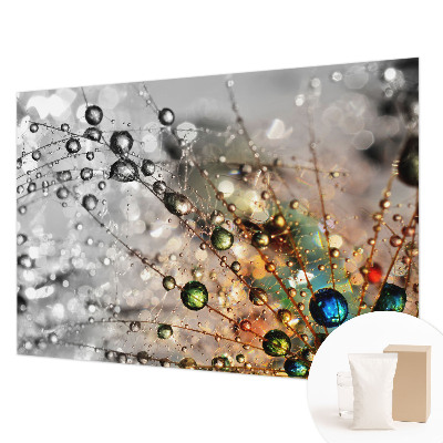 Dekoracyjna fototapeta na ścianę Rosę klejnoty