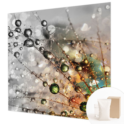 Dekoracyjna fototapeta na ścianę Rosę klejnoty