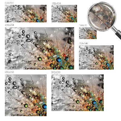 Dekoracyjna fototapeta na ścianę Rosę klejnoty