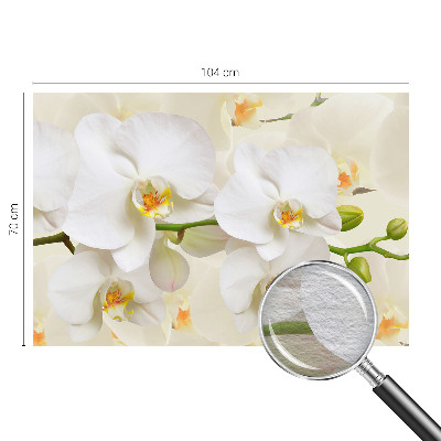 Fototapeta fizelinowa z nadrukiem Kwiatowe bogactwo