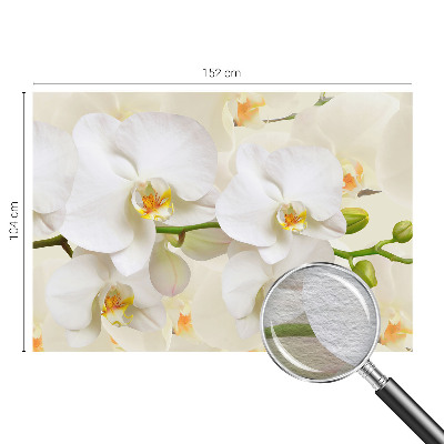 Fototapeta fizelinowa z nadrukiem Kwiatowe bogactwo