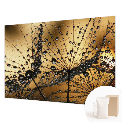 Fototapeta fizelinowa do sypialni Delikatne krople