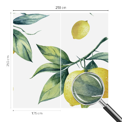 Tapeta fotograficzna fizelinowa Cytrynowy motyw