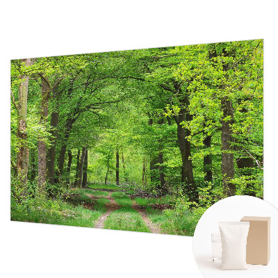 Dekoracyjna fototapeta na ścianę Leśna ścieżka